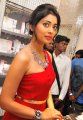 Shriya Saran Hot Stills