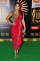 Actress Shriya Saran Hot Photos @ IIFA Utsavam Green Carpet