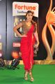 Shriya Saran @ International Indian Film Academy Awards Utsavam Green Carpet