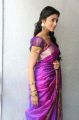 Actress Shriya in Saree Gorgeous Photoshoot Gallery