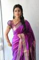 Actress Shriya in Saree Gorgeous Photoshoot Gallery