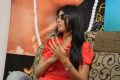 Cute Shriya Saran Interview Pictures about Pavitra Movie