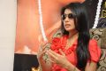 Shriya Saran Beautiful Pictures @ Pavithra Movie Interview