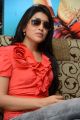 Cute Shreya Saran Interview Pictures about Pavitra Movie