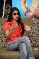 Beautiful Actress Shreya Saran Interview Pictures