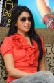 Shriya Saran Cute Pictures at Pavitra Movie Interview