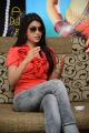 Cute Shreya Saran Interview Pictures about Pavitra Movie