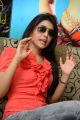 Shriya Saran Cute Pictures at Pavithra Movie Interview