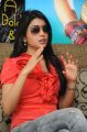 Cute Shriya Interview Pictures about Pavitra Movie