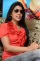 Shriya Saran Cute Pictures at Pavitra Movie Interview