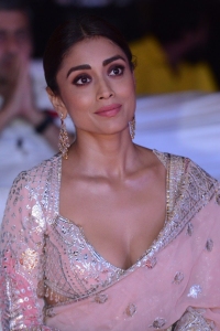 Actress Shriya Saran Saree Pics @ Kabzaa Title Track Launch