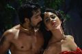 Prem Kumar, Shriya Saran Hot in Chandra Movie Gallery