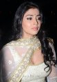 Shriya Saran Latest Hot Pics