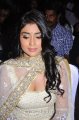 Shriya Saran Latest Hot Pics