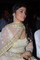 Shriya Saran Latest Hot Pics