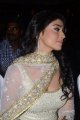 Shriya Saran Latest Hot Pics