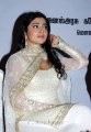 Shriya Saran Latest Hot Pics