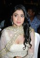 Shriya Saran Latest Hot Pics