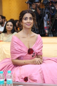 Actress Shriya Saran Pictures @ Music School Pre Release Event
