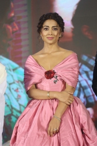 Actress Shriya Saran Recent Pictures @ Music School Pre Release Event