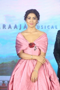 Actress Shriya Saran Pictures @ Music School Pre Release Event