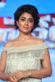 Beautiful Shriya Saran Photos @ Nakshatram Audio Function