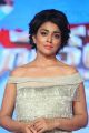 Actressl Shriya Saran @ Nakshatram Audio Launch Photos