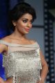 Actressl Shriya Saran @ Nakshatram Audio Launch Photos