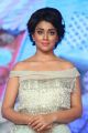 Beautiful Shriya Saran Photos @ Nakshatram Audio Launch