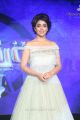 Beautiful Shriya Saran Photos @ Nakshatram Audio Launch