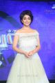 Actressl Shriya Saran @ Nakshatram Audio Launch Photos