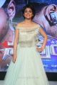 Shriya Saran Beautiful Photos @ Nakshatram Audio Launch