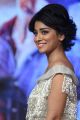 Beautiful Shriya Saran Photos @ Nakshatram Audio Function