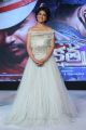 Shriya Saran Beautiful Photos @ Nakshatram Audio Launch