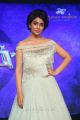 Shriya Saran Beautiful Photos @ Nakshatram Audio Release