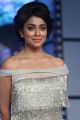 Shriya Saran Beautiful Photos @ Nakshatram Audio Launch