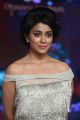 Beautiful Shriya Saran Photos @ Nakshatram Audio Launch