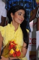 Shriya Saran New Pictures Stills