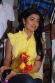 Shriya Saran New Pictures Stills