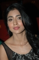 Actress Shriya Saran New Photos Stills