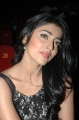 Actress Shriya Saran New Photos Stills