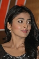 Actress Shriya Saran New Photos Stills