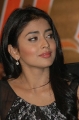 Actress Shriya Saran New Photos Stills