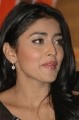 Actress Shriya Saran New Photos Stills