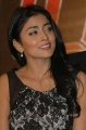 Actress Shriya Saran New Photos Stills