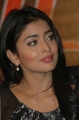 Actress Shriya Saran New Photos Stills