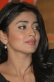 Actress Shriya Saran New Photos Stills