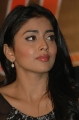 Actress Shriya Saran New Photos Stills