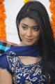 Shriya Saran New Pictures, Shriya Saran Cute Photos