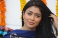 Shriya Saran New Pictures, Shriya Saran Cute Photos